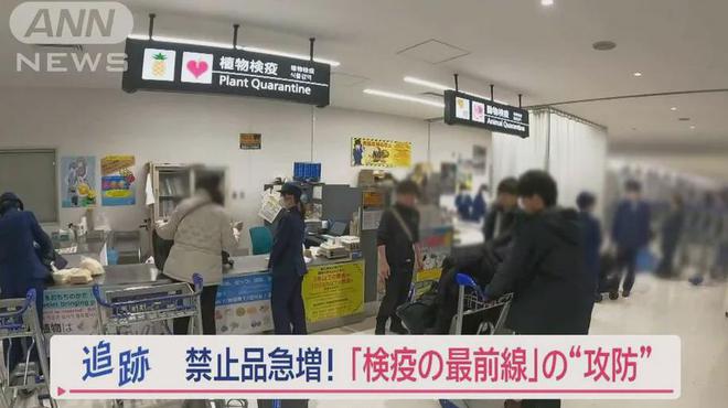 日本成田机场严查外国旅客行李外国大妈三次携带“违禁品”被警告开云网址(图1)