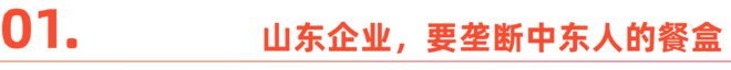 美团走进中东这个行业要火？(图1)