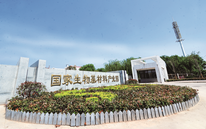 河南“禁限塑”全解读④丨年产50万吨终端制品全省可降解塑料能否实现供需平衡？(图1)