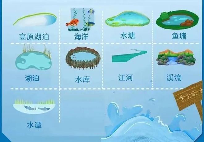夏天海边玩水警惕“离岸流”如何识别自救？一文了解(图3)