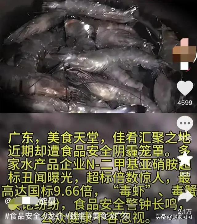 广东“毒虾”曝光！涉事企业被扒污染物超标大人小孩都爱吃(图4)