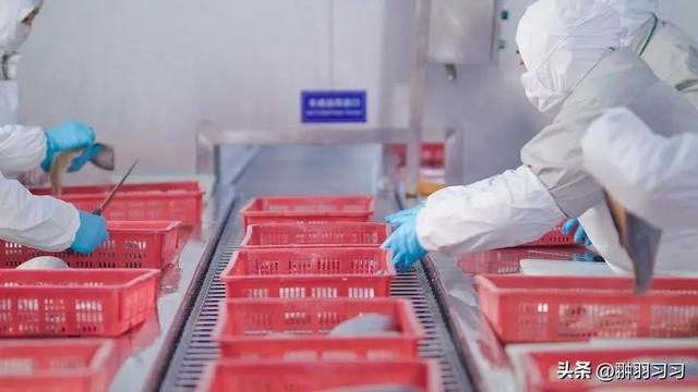 广东“毒虾”曝光！涉事企业被扒污染物超标大人小孩都爱吃(图9)