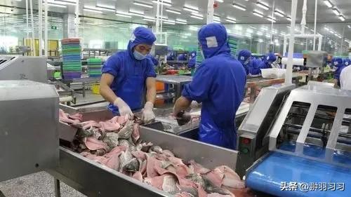 广东“毒虾”曝光！涉事企业被扒污染物超标大人小孩都爱吃(图7)