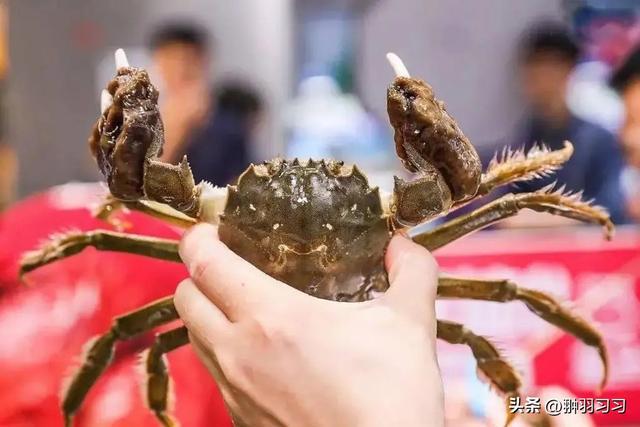 广东“毒虾”曝光！涉事企业被扒污染物超标大人小孩都爱吃(图23)