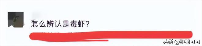 广东“毒虾”曝光！涉事企业被扒污染物超标大人小孩都爱吃(图21)