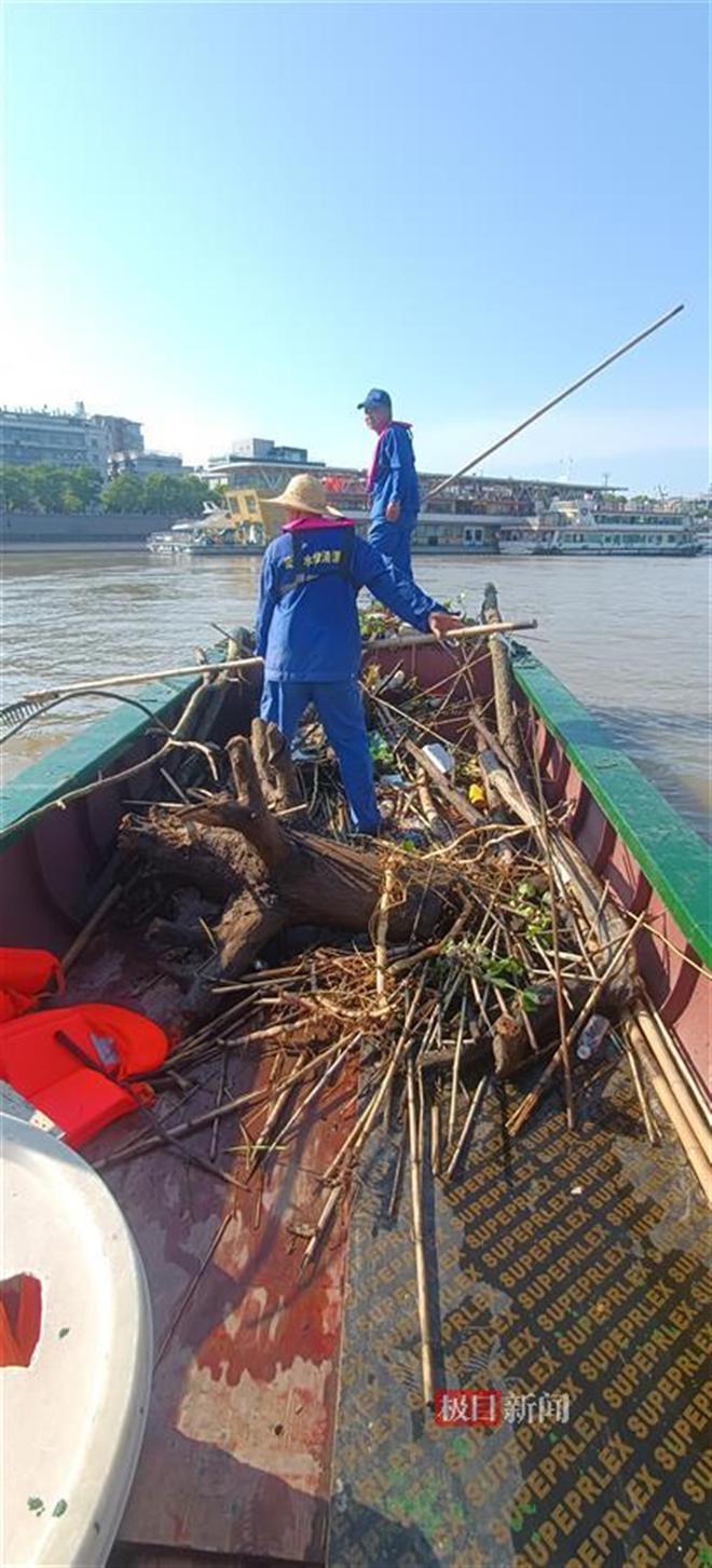 两个大树蔸子漂向渡江“泳士”武汉城管清漂队紧急拦截(图3)