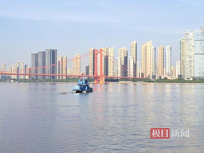 两个大树蔸子漂向渡江“泳士”武汉城管清漂队紧急拦截(图2)