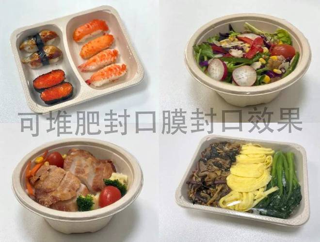 IPFM2024国际纸浆模塑佛山展珠海横琴辉泽丰包装科技有限公司(图2)