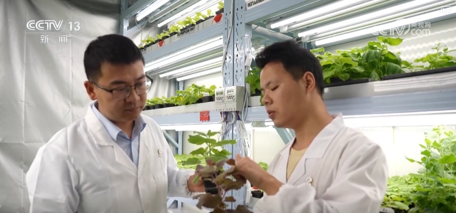 科幻照进现实！抢滩布局新赛道打造生物制造新经济增长点(图2)