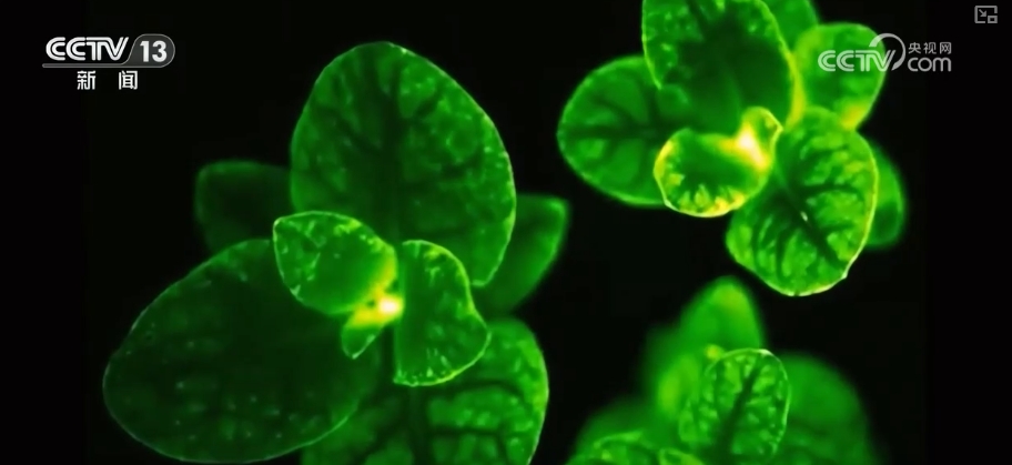 科幻照进现实！抢滩布局新赛道打造生物制造新经济增长点(图3)