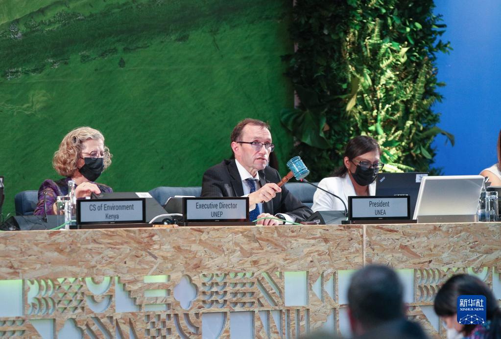 联合国环境大会续会通过终止塑料污染的决议(图2)