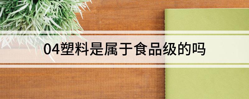 04塑料是属于食品级的吗(图1)