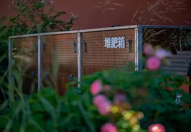 文化中国行｜“故宫零废弃”打造冬日“绿色景观”(图1)