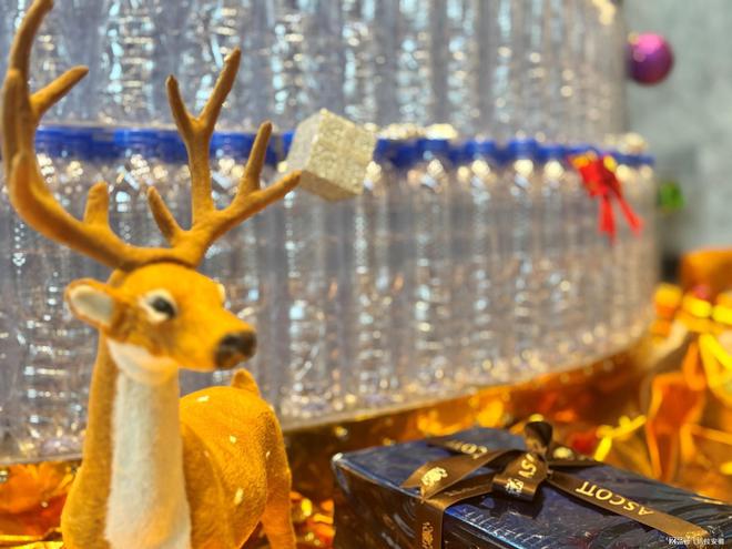 环星璀璨闪耀圣诞合肥盛捷天鹅湖服务公寓2024亮灯仪式圆满举行(图2)