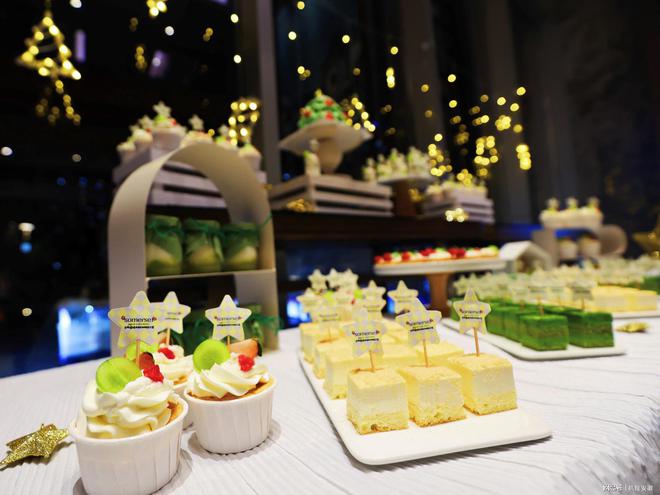 环星璀璨闪耀圣诞合肥盛捷天鹅湖服务公寓2024亮灯仪式圆满举行(图11)