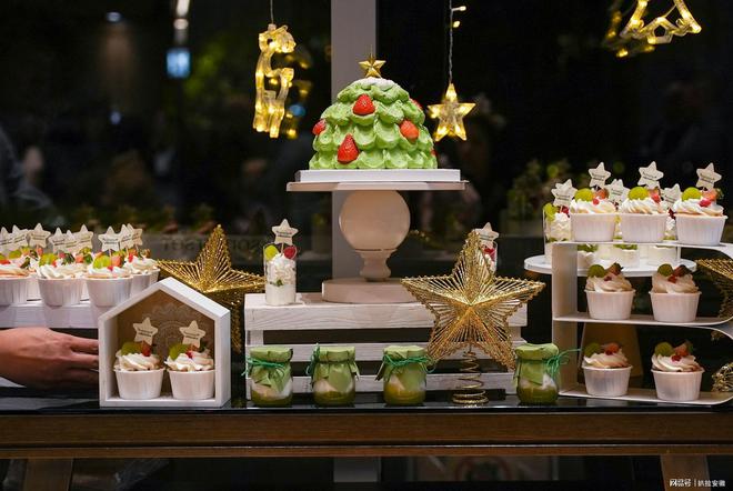 环星璀璨闪耀圣诞合肥盛捷天鹅湖服务公寓2024亮灯仪式圆满举行(图12)