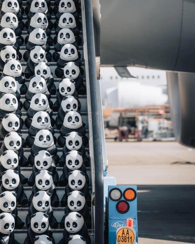 时隔十年又到香港啦！佘诗曼、古天乐一起迎接(图1)