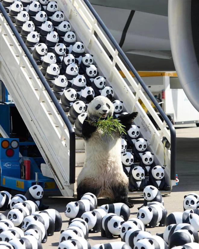 时隔十年又到香港啦！佘诗曼、古天乐一起迎接(图4)