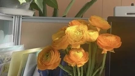 花语有情与海霸王西部食品物流园的奇妙邂逅(图2)