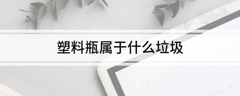 塑料瓶属于什么垃圾(图1)
