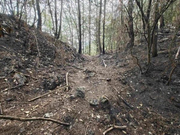 贵州一女子放火烧山称有人上山扑火后会留下塑料瓶可以捡来拿去卖(图1)