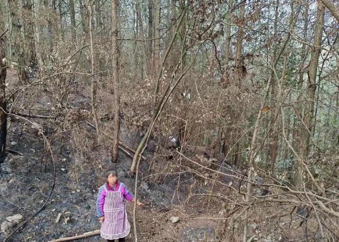 奇葩！为捡塑料瓶故意放火烧山！网友：是因为太穷的根本吗？(图6)