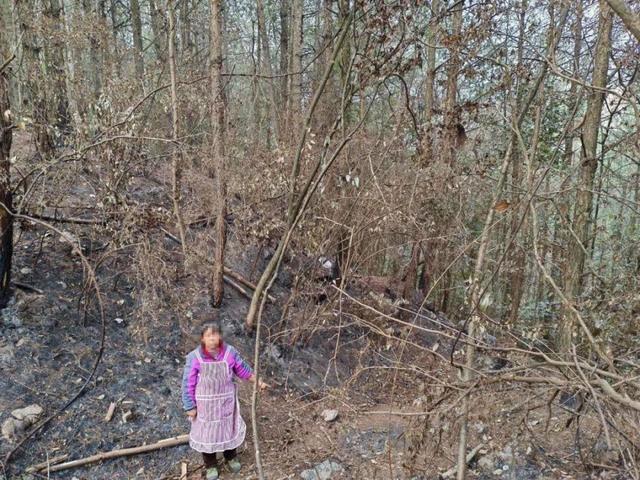 热闻刑拘！贵州一女子故意放火烧山竟是为了捡扑火人员留下的塑料瓶卖钱(图2)