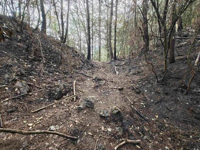 热闻刑拘！贵州一女子故意放火烧山竟是为了捡扑火人员留下的塑料瓶卖钱(图1)