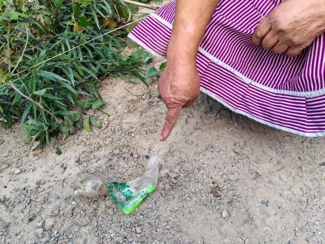 荒唐！女子放火烧山理由竟是为了扑灭后捡别人的塑料瓶卖钱(图1)