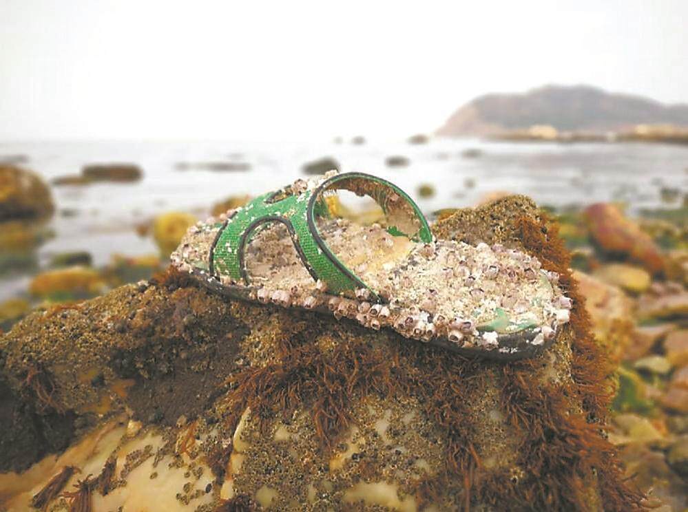海岛上的“拾荒”艺术家付军胜：驻岛8年用1000只“流浪拖鞋”呼唤海洋保护(图2)