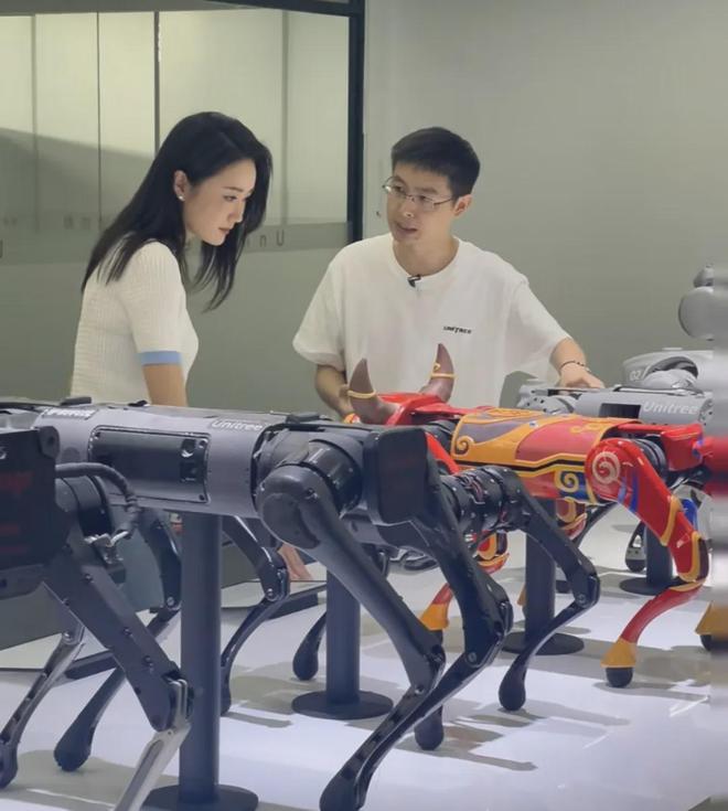 王兴兴：斗狗(图16)
