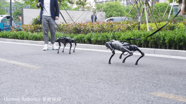 王兴兴：斗狗(图20)
