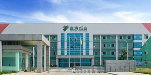 重磅！2024年中国及31省市塑料制品行业政策汇总及解读（全）(图3)
