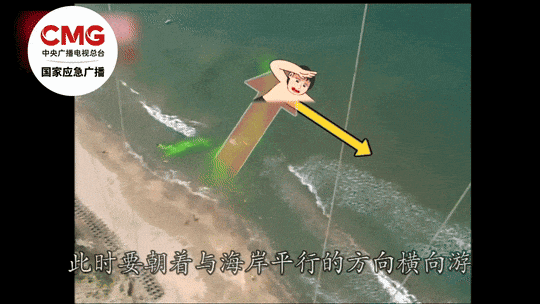 被卷入海1死1失踪……海边看到它立即远离！(图4)