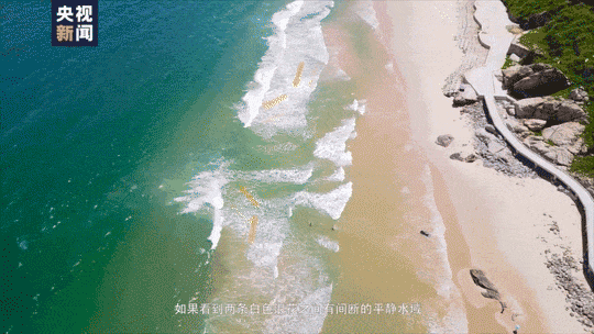 被卷入海1死1失踪……海边看到它立即远离！(图3)