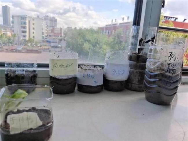 九年支教路一颗初“芯”：向草原为牧区写下最深情的“公益诗篇”(图8)