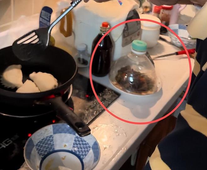 92岁牛犇仍独居养老院塑料瓶扣菜拖把当拐杖环境脏乱引热议(图2)