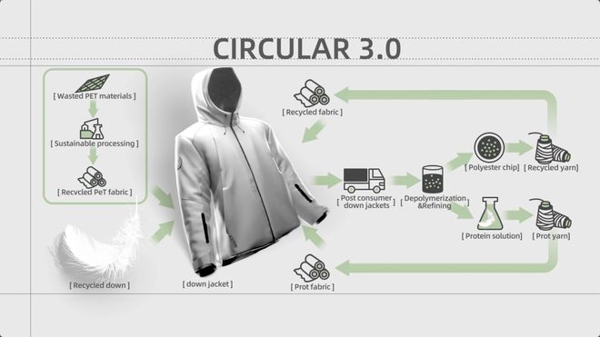 波司登样本：一个中国消费品牌的韧性增长路径(图5)