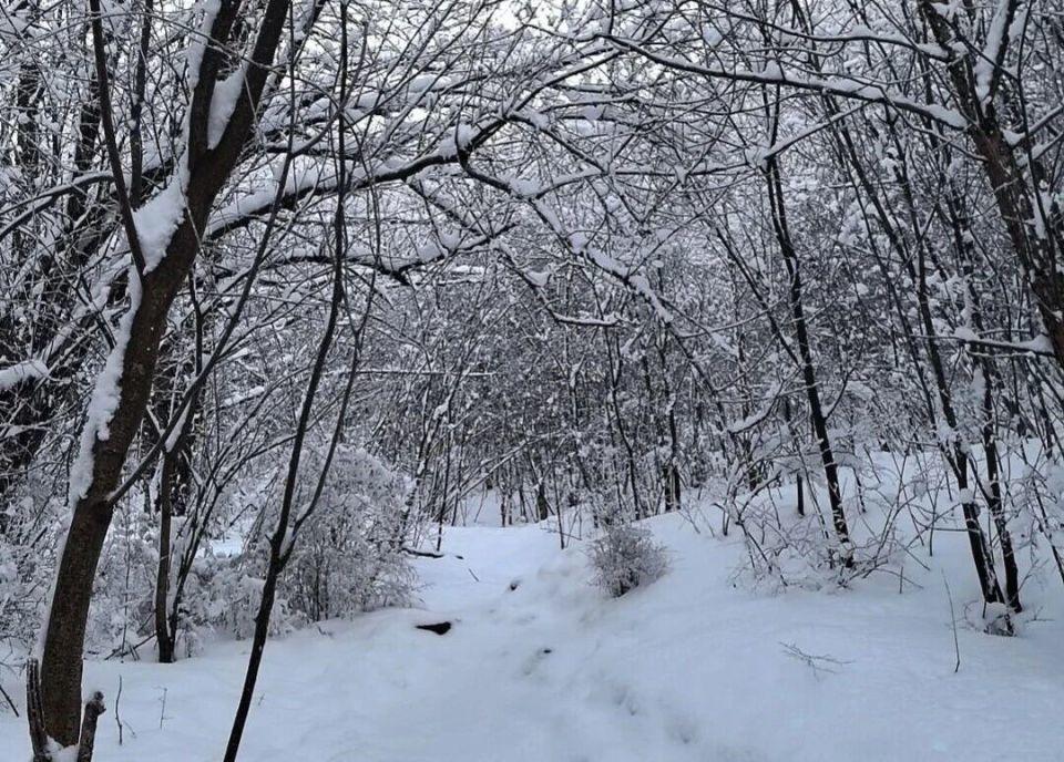5人违规穿越鳌太线人遇难细节披露：轻装出行没背帐篷和睡袋领队为规避罚款让全员将手机调成飞行模式(图4)